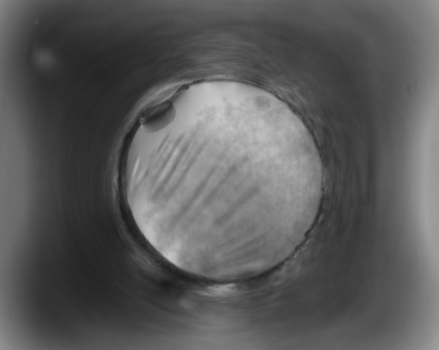 X0000087590054200705251910