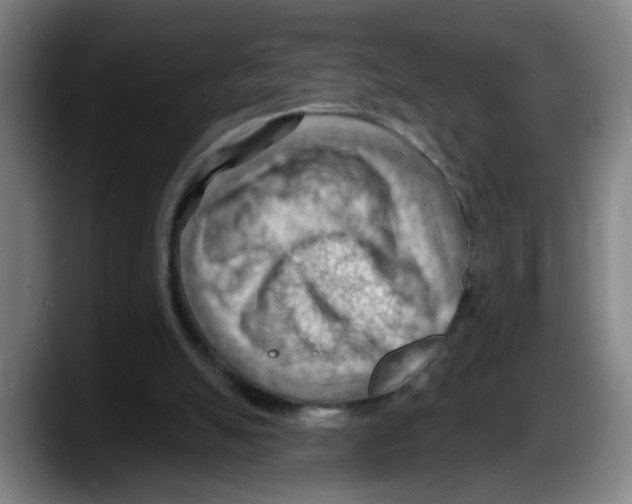 X0000087590055200705251910