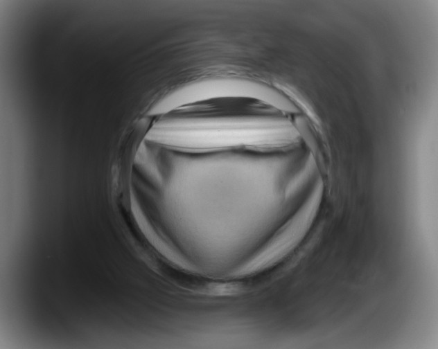 X0000087590057200705251910