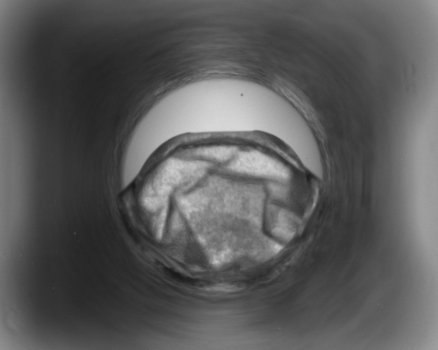 X0000087590058200705251910