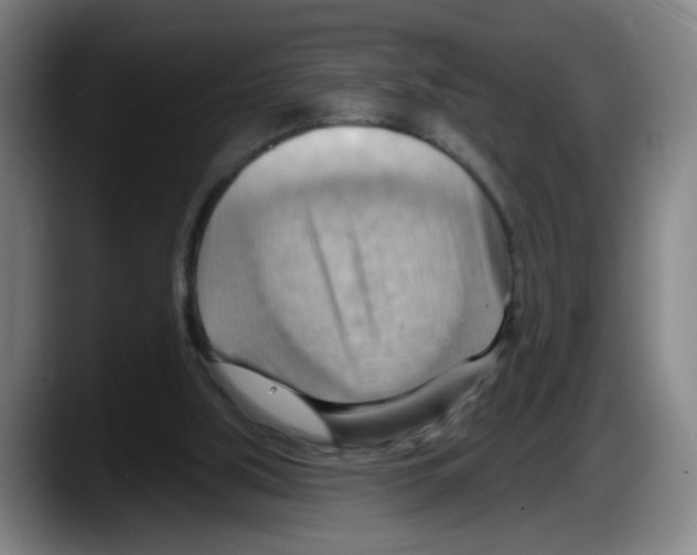 X0000087590059200705251910