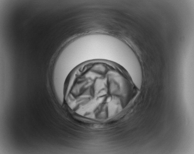 X0000087590060200705251910