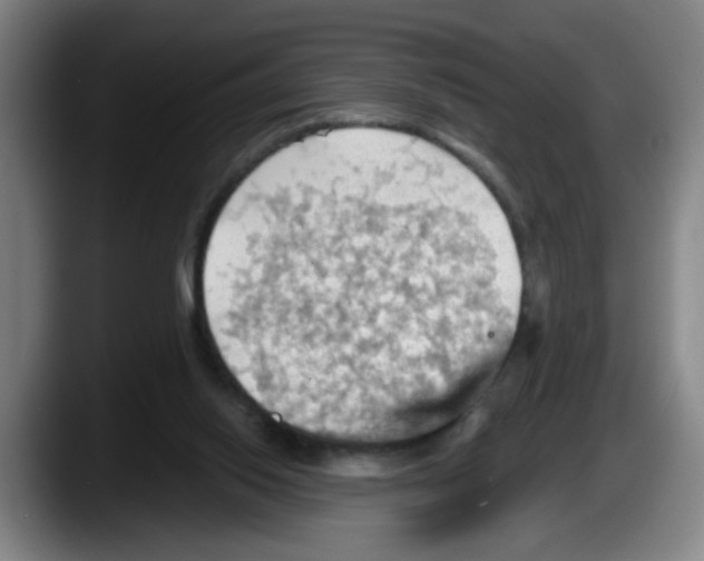 X0000087590062200705251910
