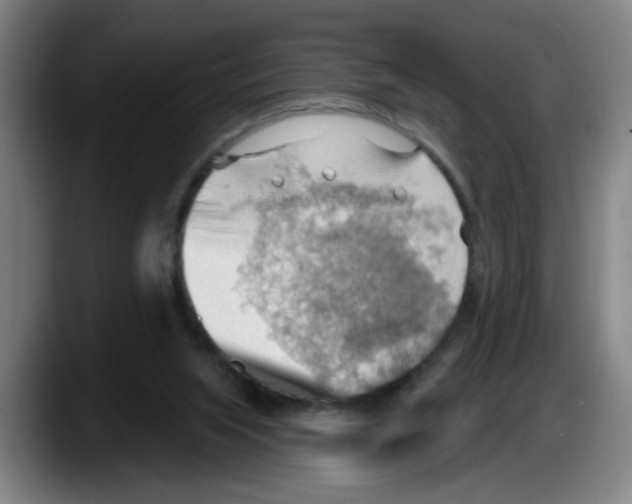 X0000087590063200705251910