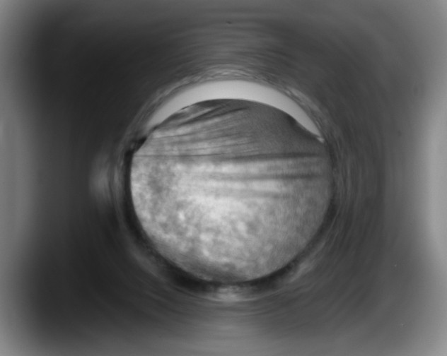 X0000087590064200705251910