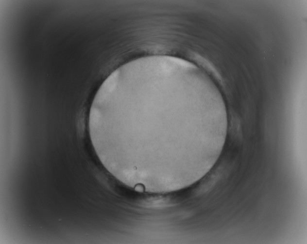 X0000087590065200705251910