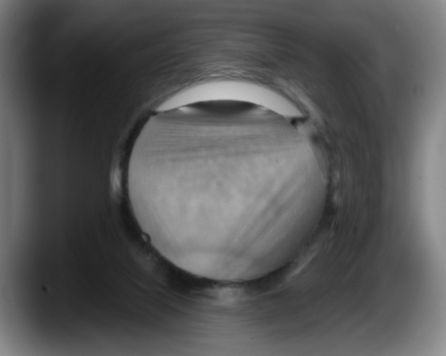 X0000087590067200705251910