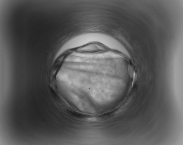 X0000087590068200705251910