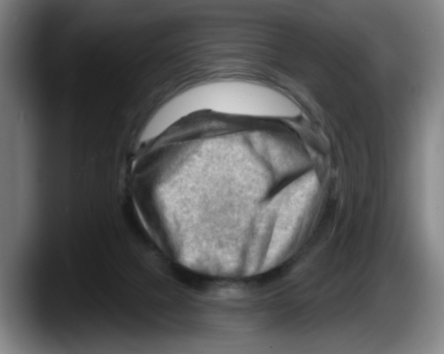 X0000087590073200705251910