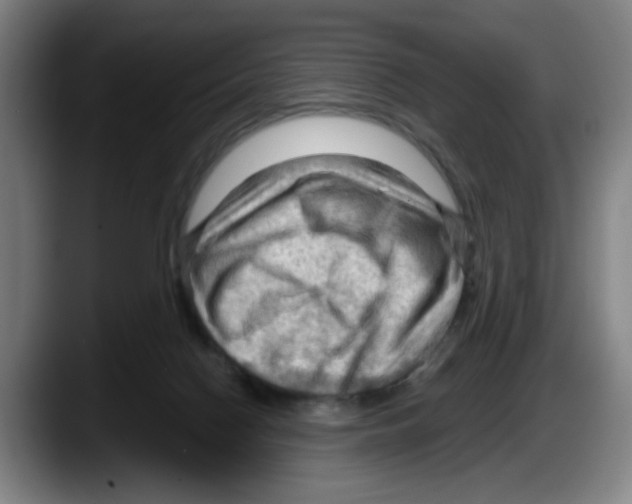 X0000087590074200705251910