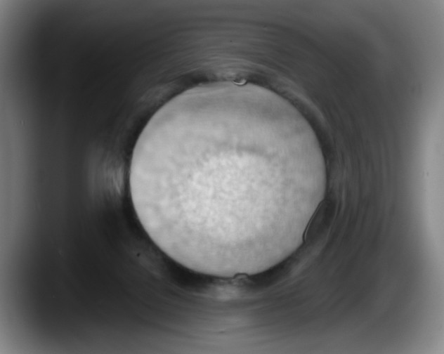 X0000087590076200705251910