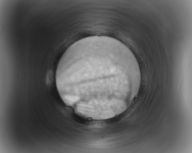 X0000087590077200705251910
