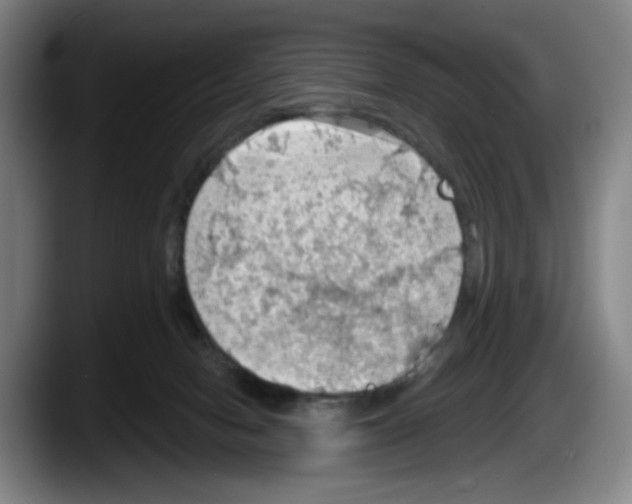 X0000087590078200705251910
