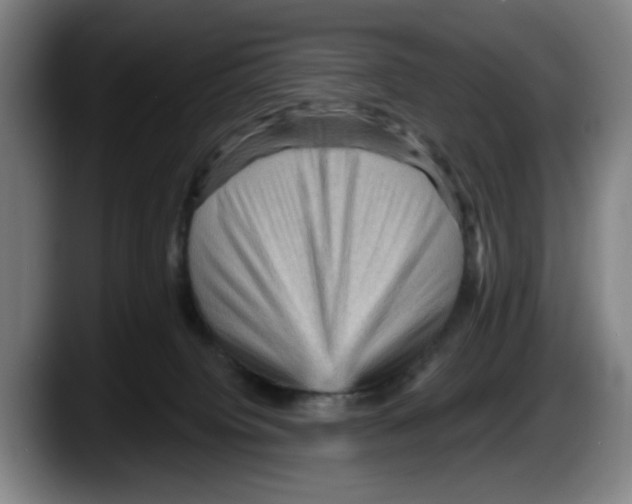 X0000087590084200705251910