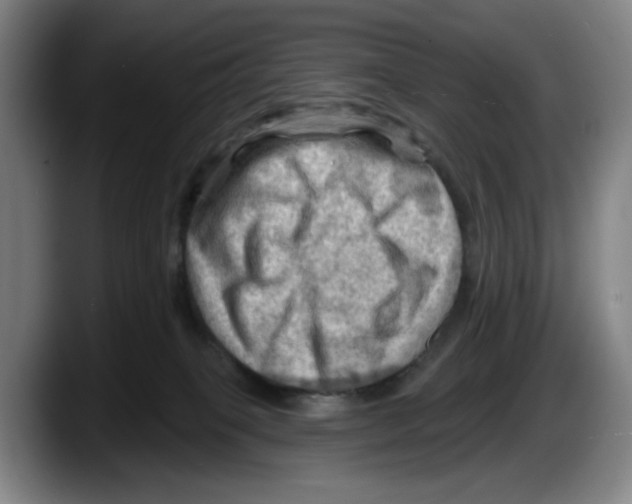 X0000087590085200705251910