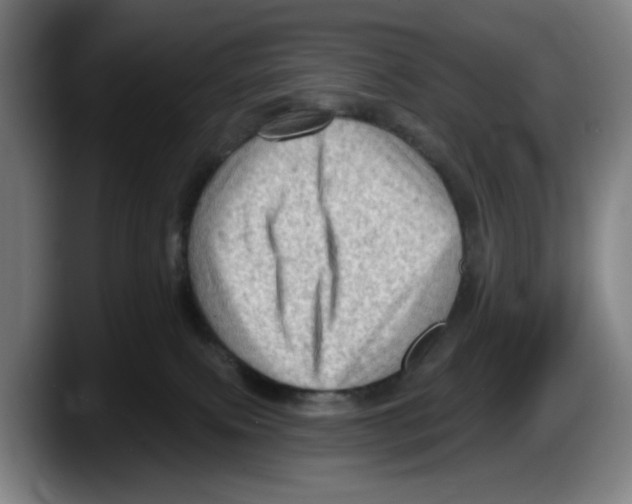 X0000087590087200705251910