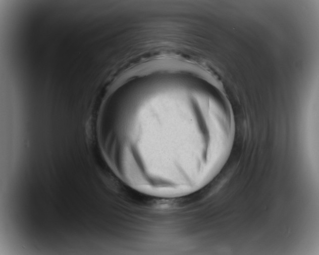 X0000087590088200705251910