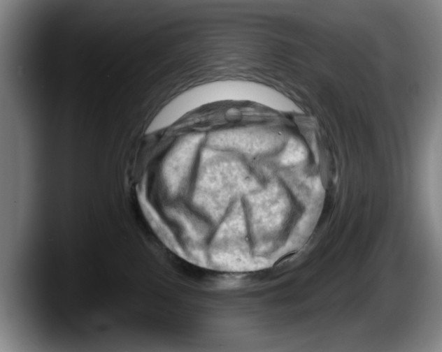 X0000087590090200705251910