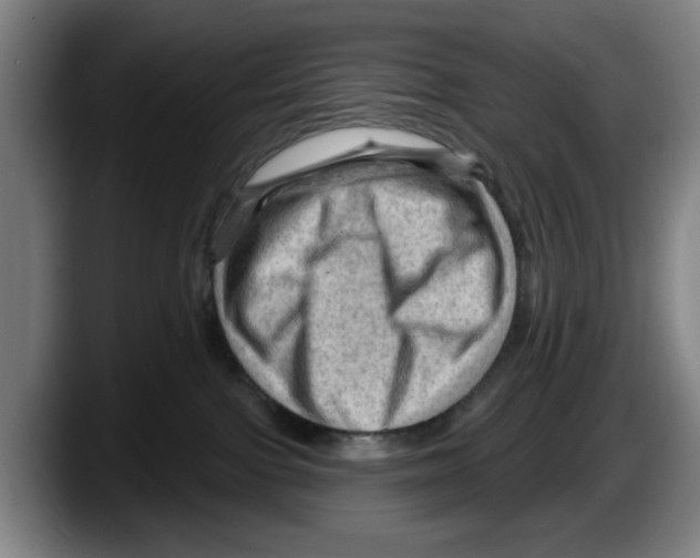 X0000087590091200705251910
