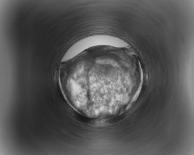 X0000087590093200705251910