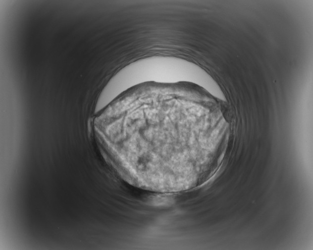 X0000087590094200705251910