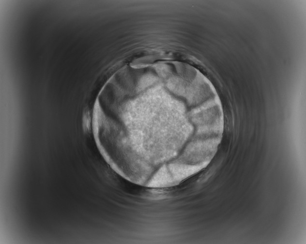 X0000087590095200705251910