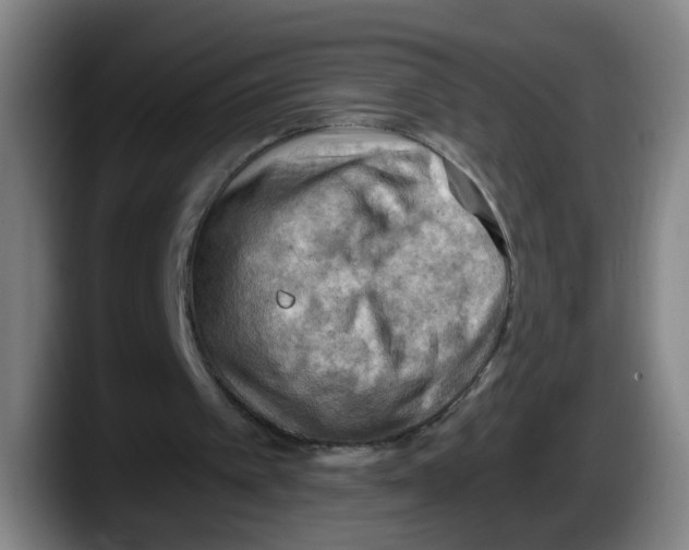 X0000087590097200705251910