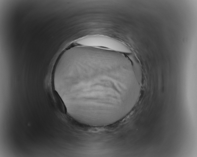 X0000087590099200705251910