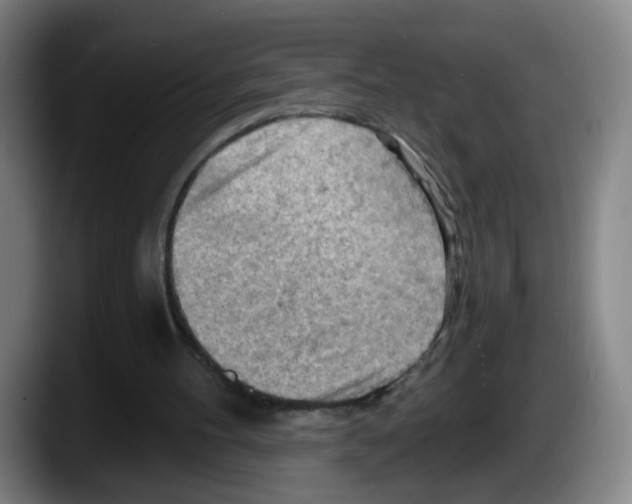 X0000087590100200705251910