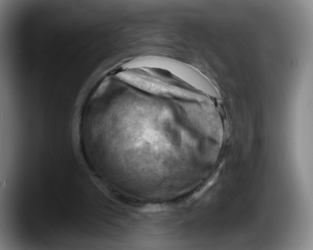 X0000087590101200705251910