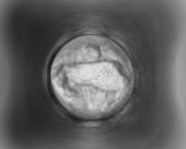 X0000087590102200705251910
