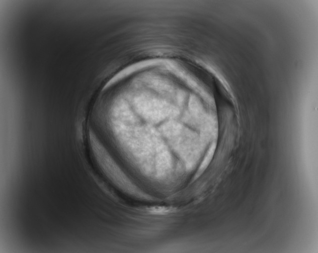 X0000087590105200705251910