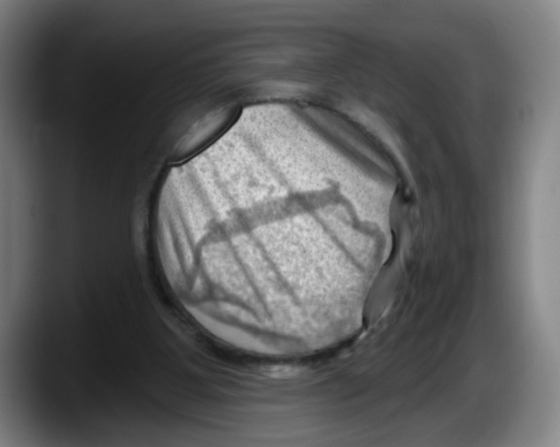 X0000087590107200705251910