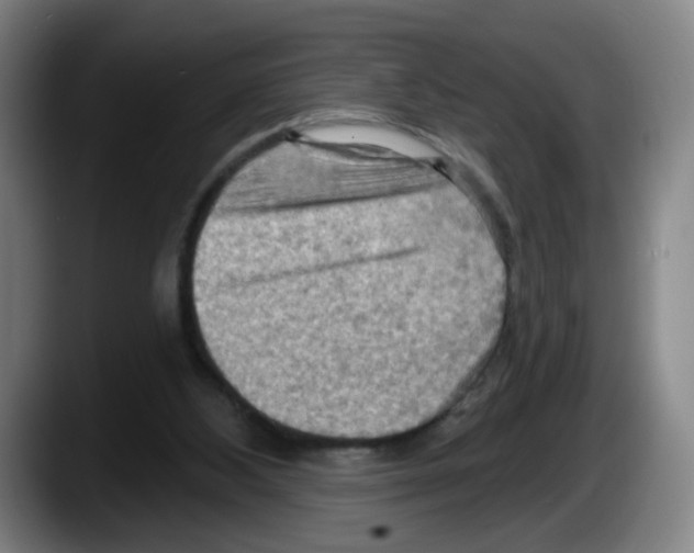 X0000087590108200705251910