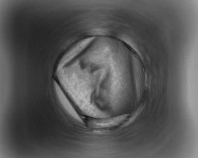 X0000087590109200705251910