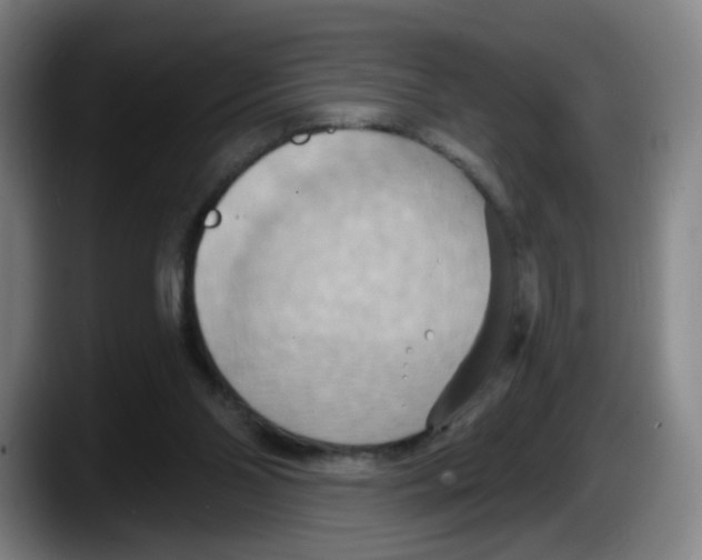 X0000087590110200705251910