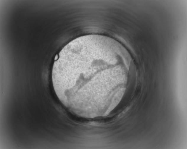 X0000087590111200705251910