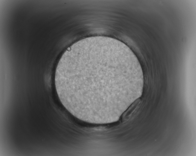 X0000087590112200705251910