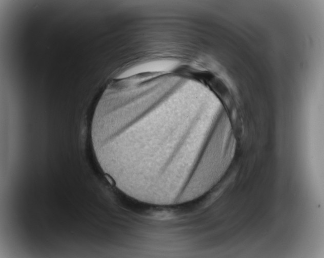 X0000087590113200705251910