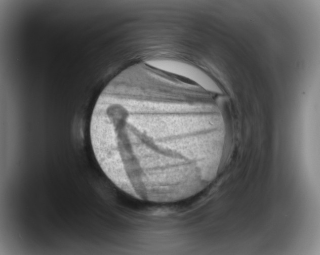 X0000087590115200705251910