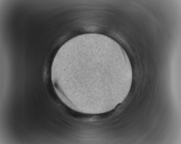 X0000087590116200705251910