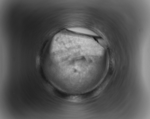 X0000087590117200705251910
