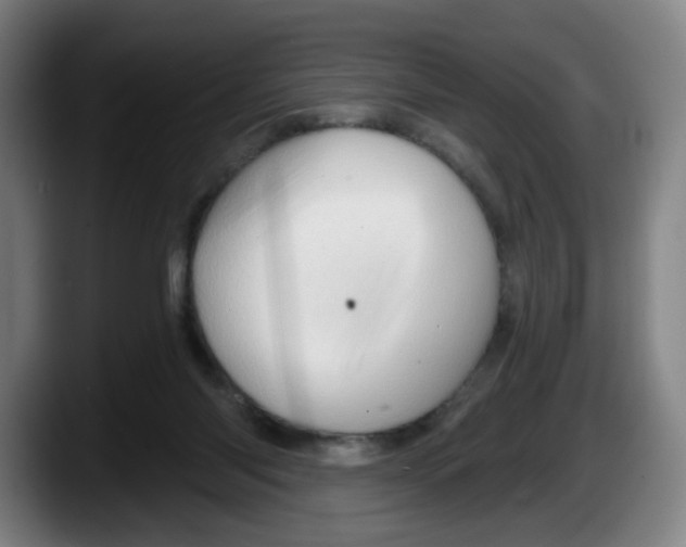 X0000087590118200705251910