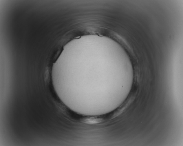 X0000087590121200705251910