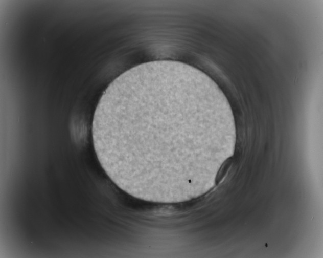 X0000087590124200705251909
