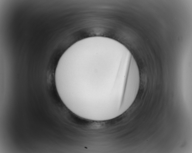 X0000087590126200705251909