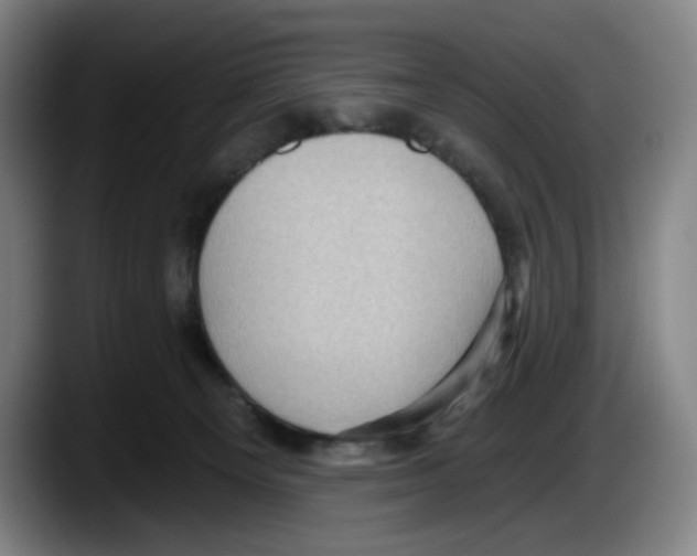 X0000087590129200705251909