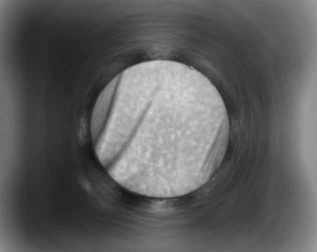 X0000087590130200705251909
