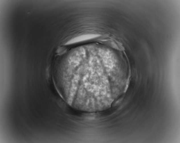 X0000087590131200705251909