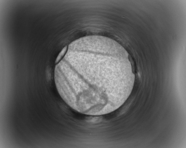 X0000087590135200705251909